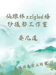 仙踪林zzlgled婚纱摄影工作室