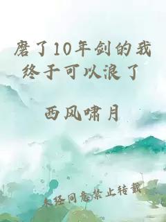 磨了10年剑的我终于可以浪了