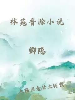 林苑晋滁小说