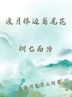 渡月桥边鸢尾花