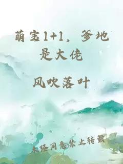 萌宝1+1，爹地是大佬