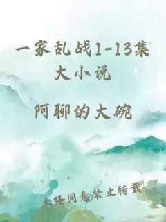 一家乱战1-13集大小说